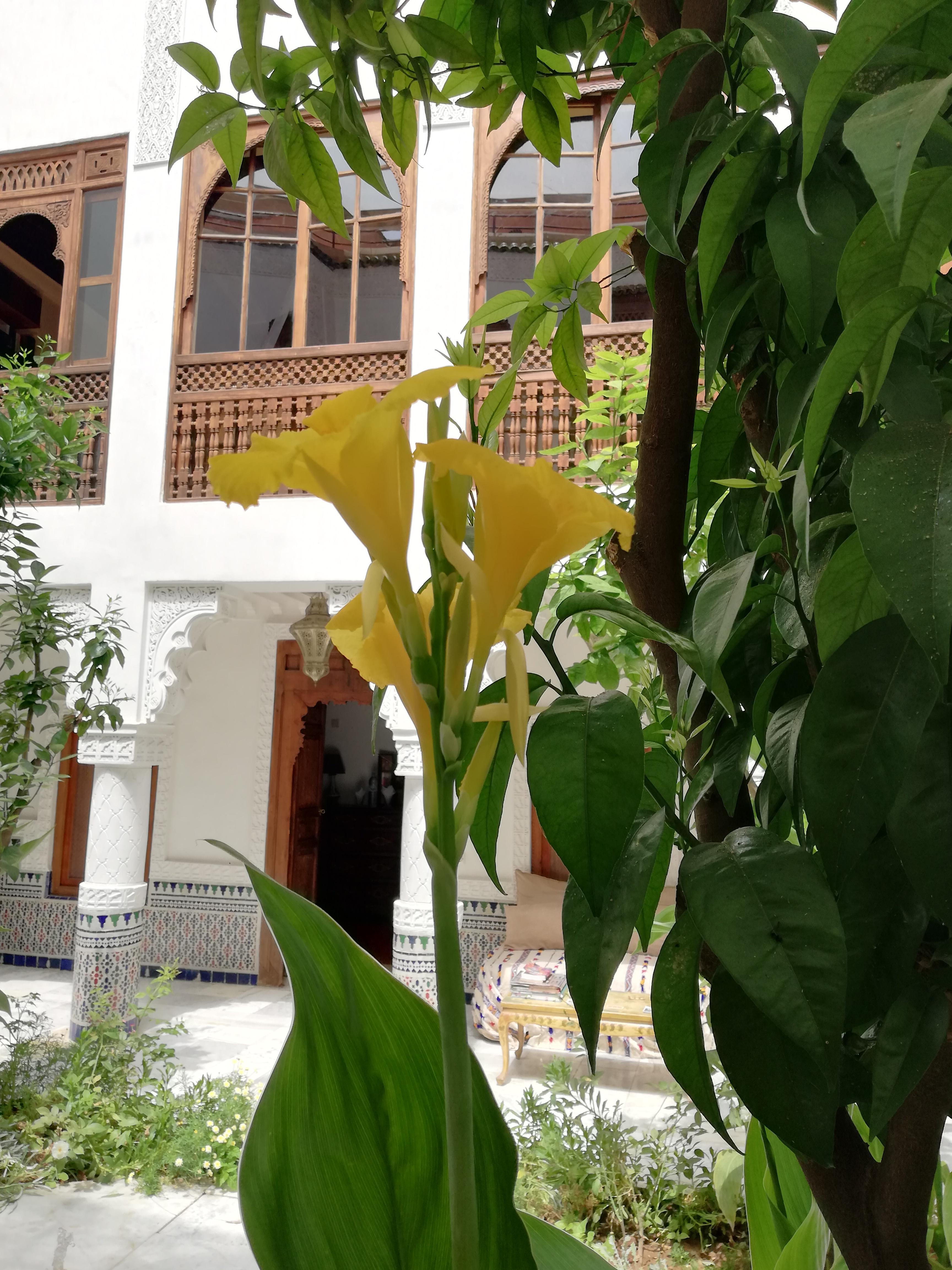 Riad Ben Youssef Marrakesh Luaran gambar